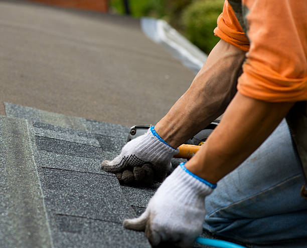 Best Local Roofing Companies  in Keshena, WI